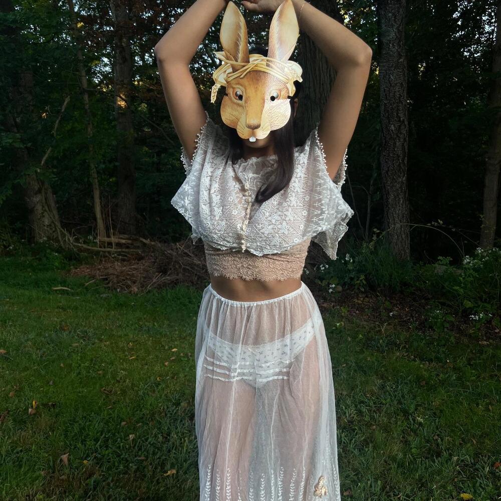 Antique Sheer Embroidered Net Lace Ensemble - image 2